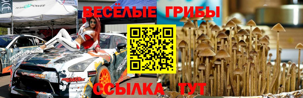 Псилоцибиновые грибы прущие грибы Улан-Удэ